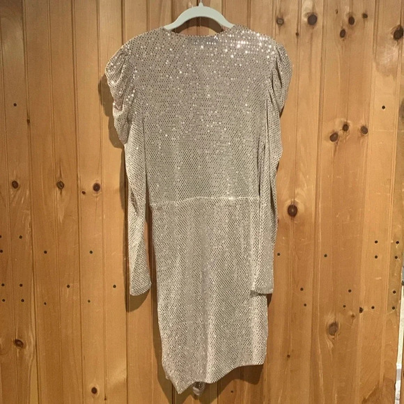 New IRO dress Lou Lou sequin dress - mordernwear.com